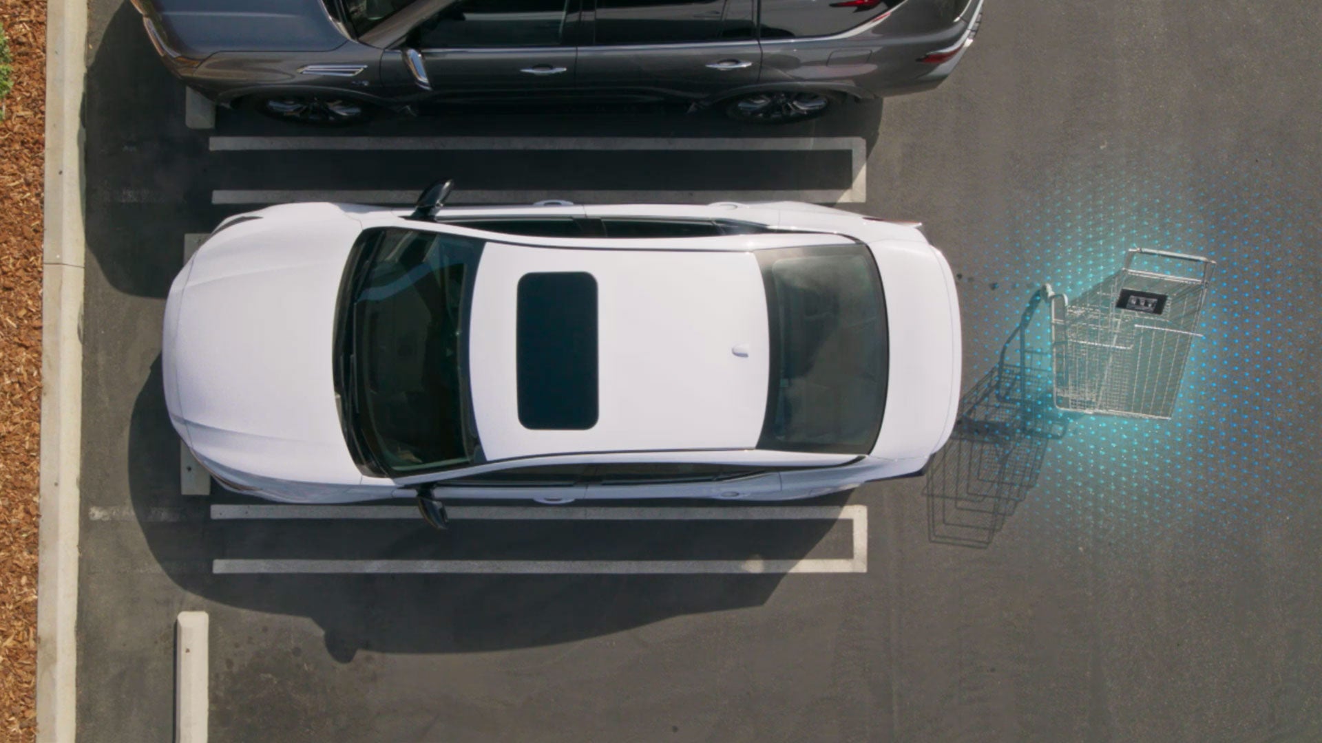 2026 Nissan Altima | Nissan of Fort Myers in Fort Myers, FL